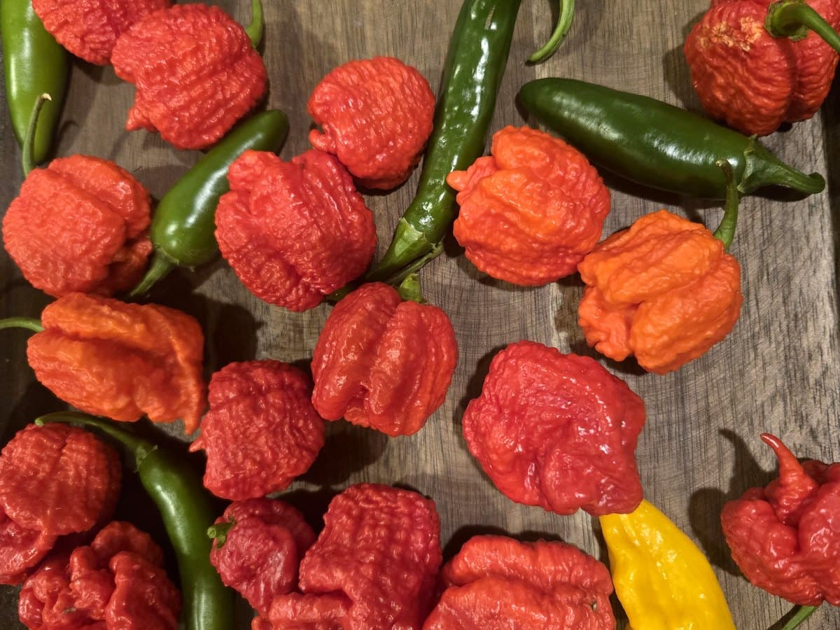 Fresh colorful peppers on a table